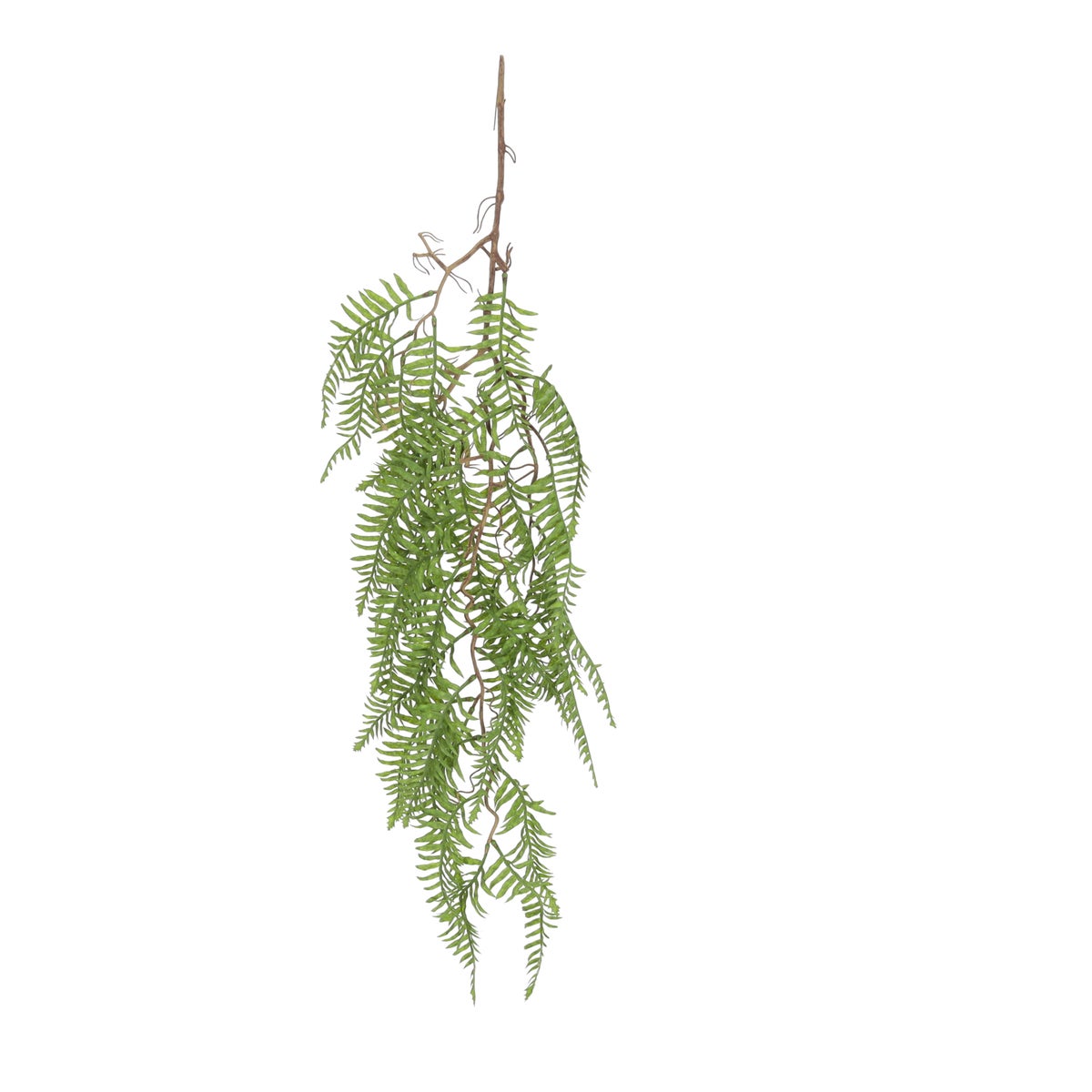Hangplant Fern 102 cm Hangplant Fern 102 cm