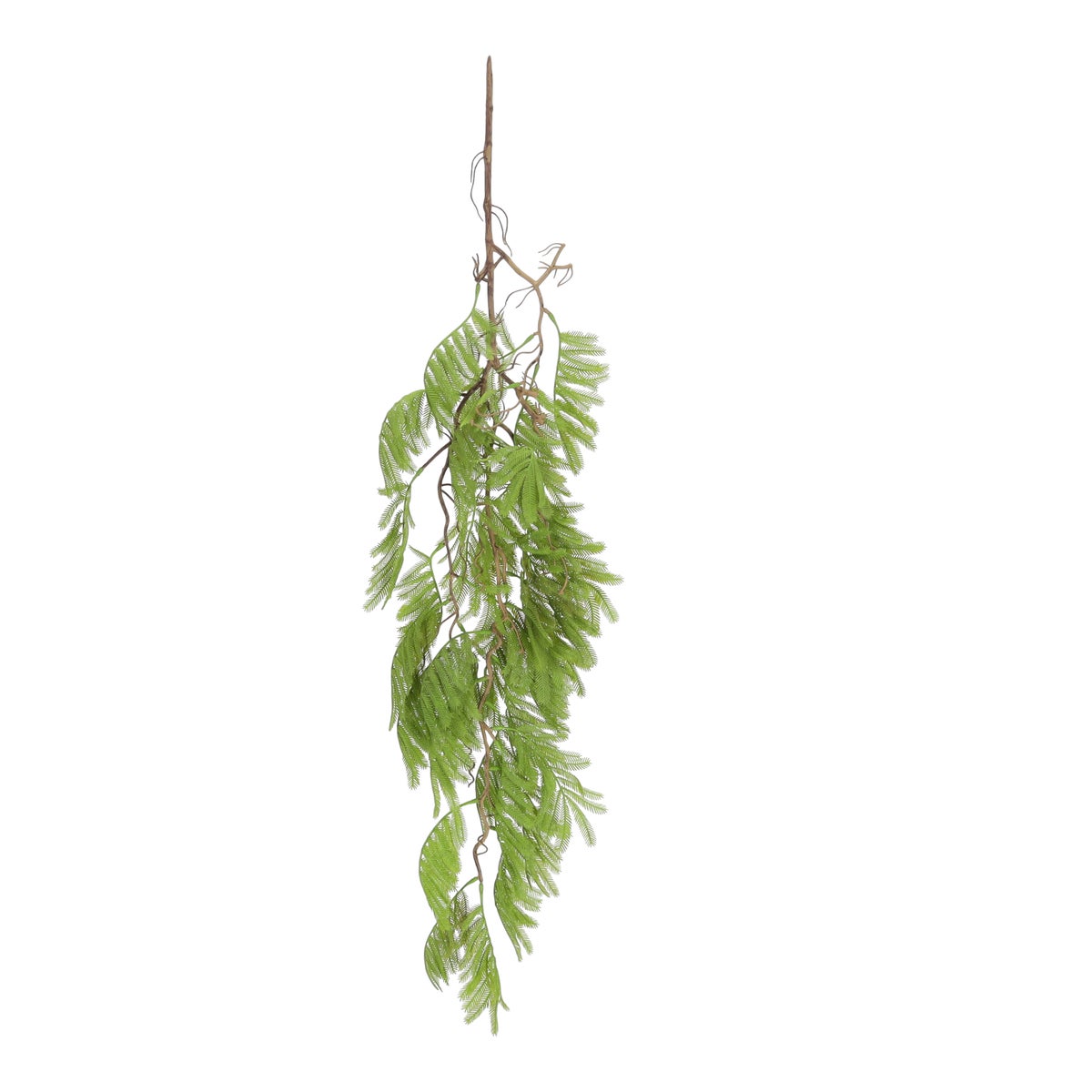 Hangplant Fern 99 cm Hangplant Fern 99 cm