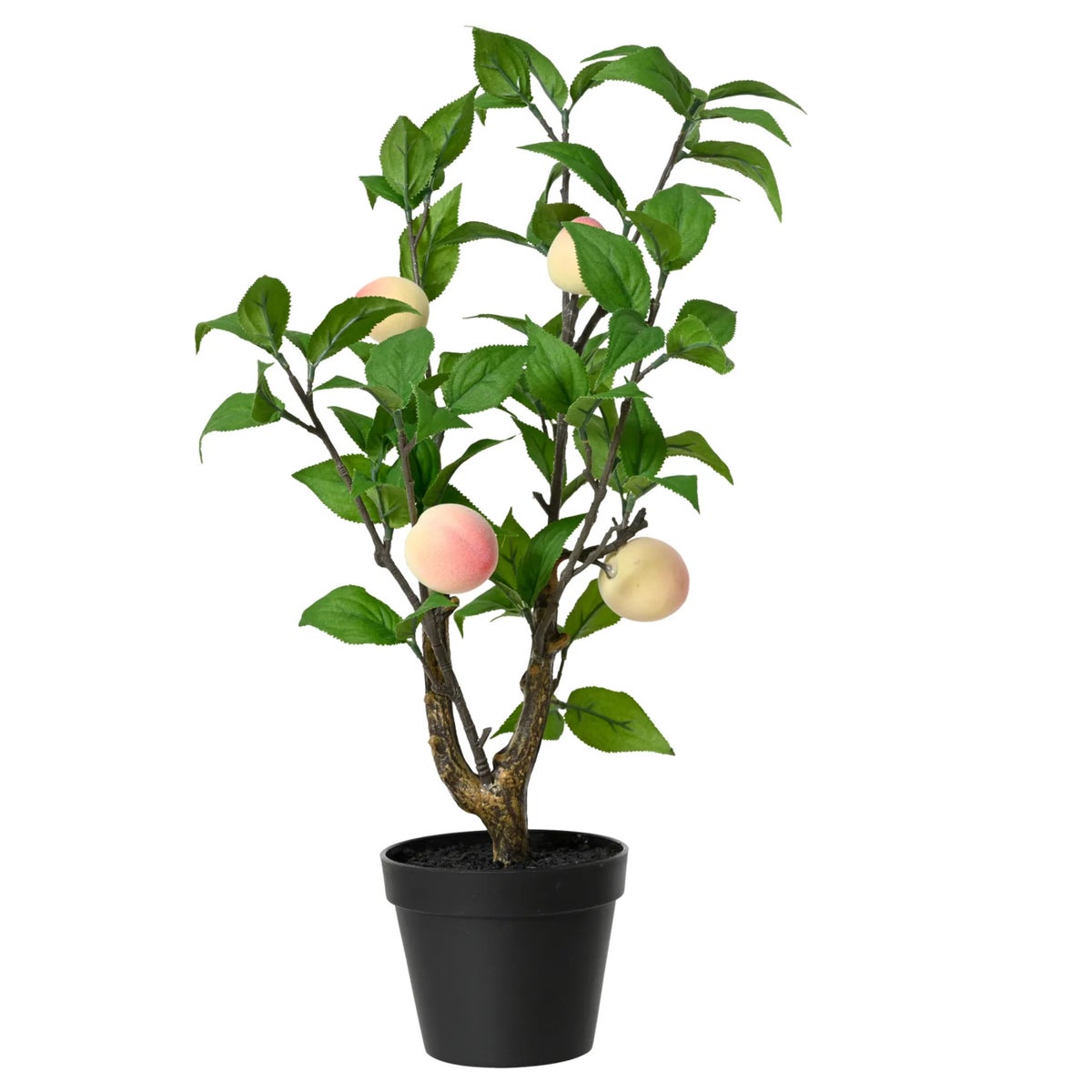 Perzikplant in pot 48 cm Perzikplant in pot 48 cm