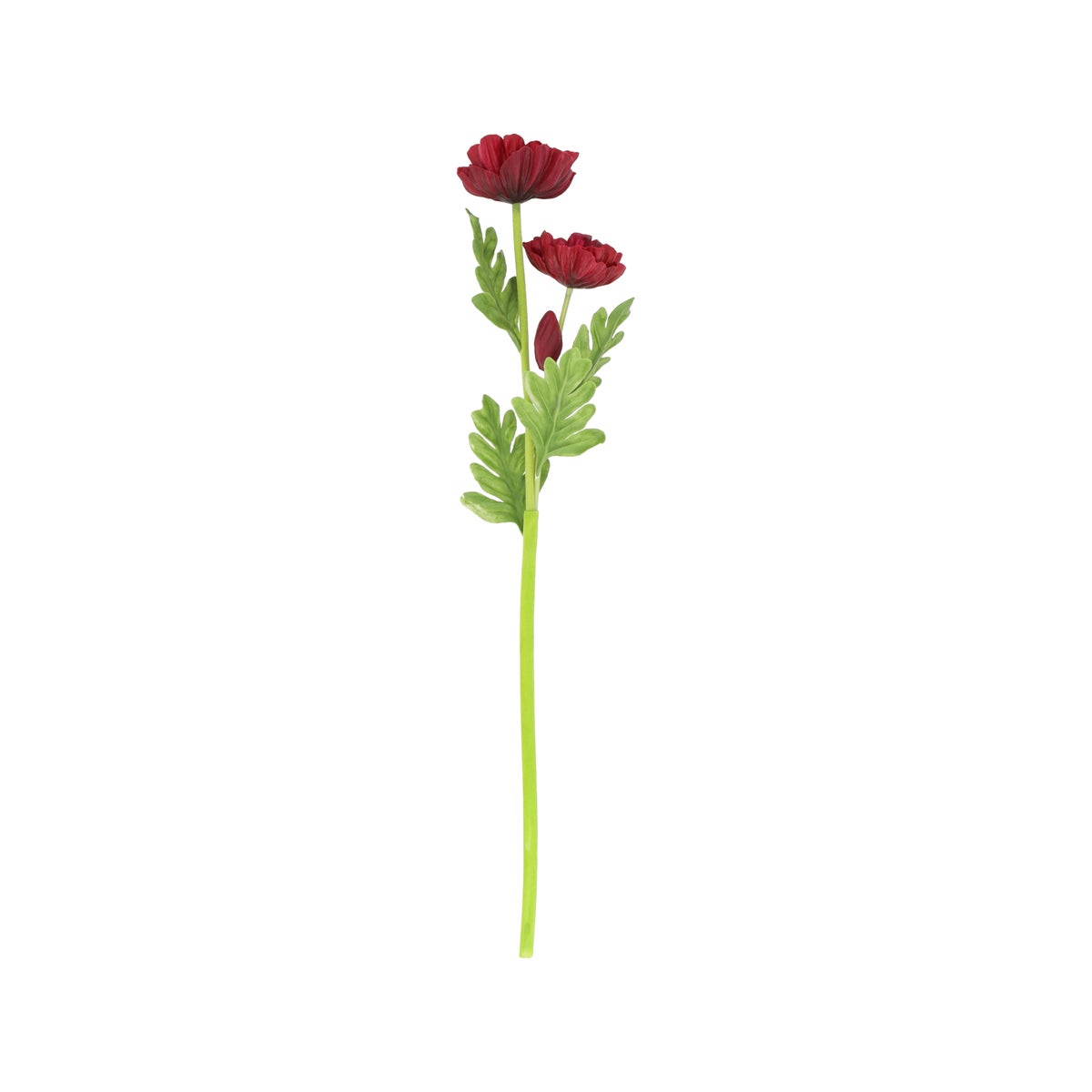 Papaver real touch 55 cm bordeaux Papaver real touch 55 cm bordeaux