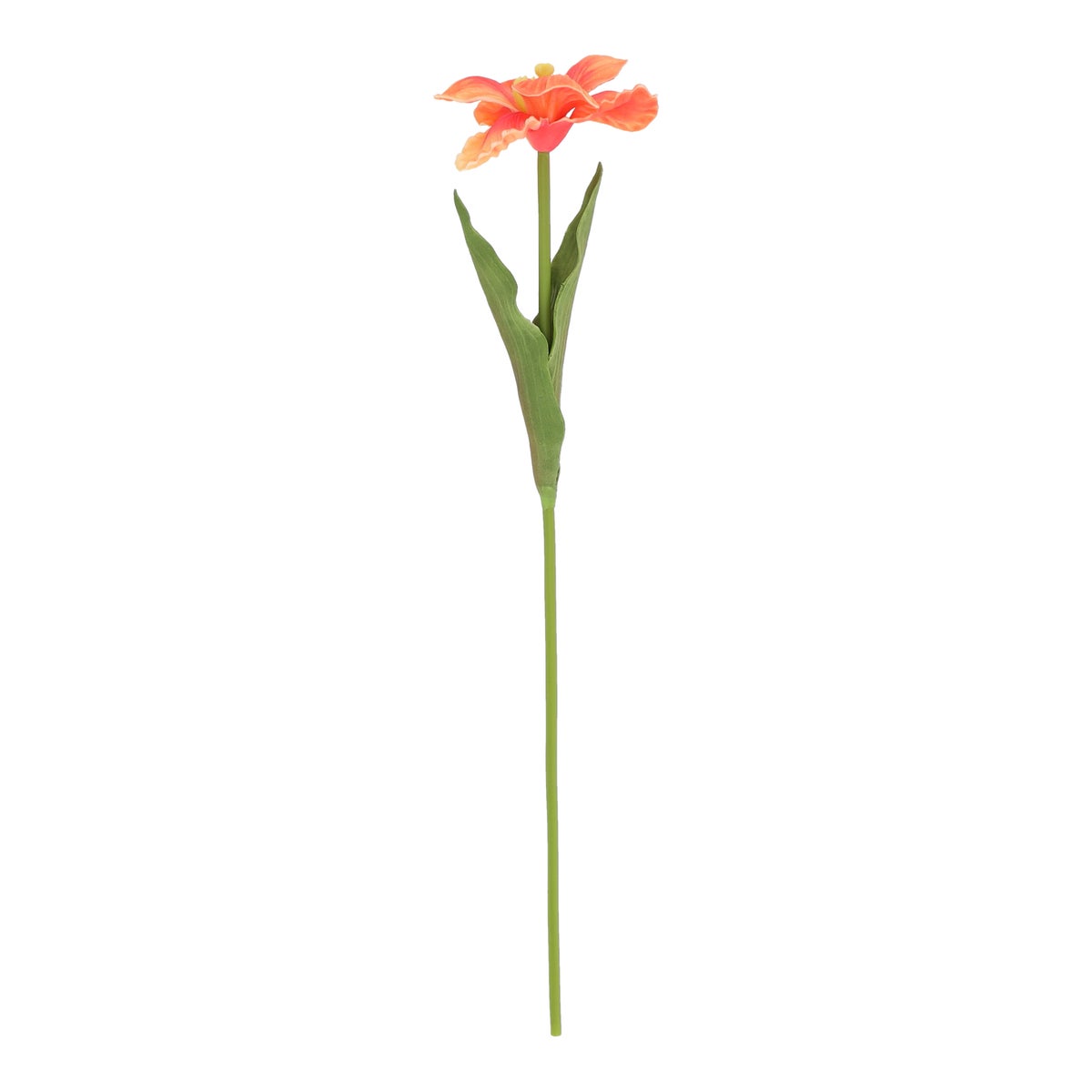 Iris real touch 45 cm peach tone Iris real touch 45 cm peach tone