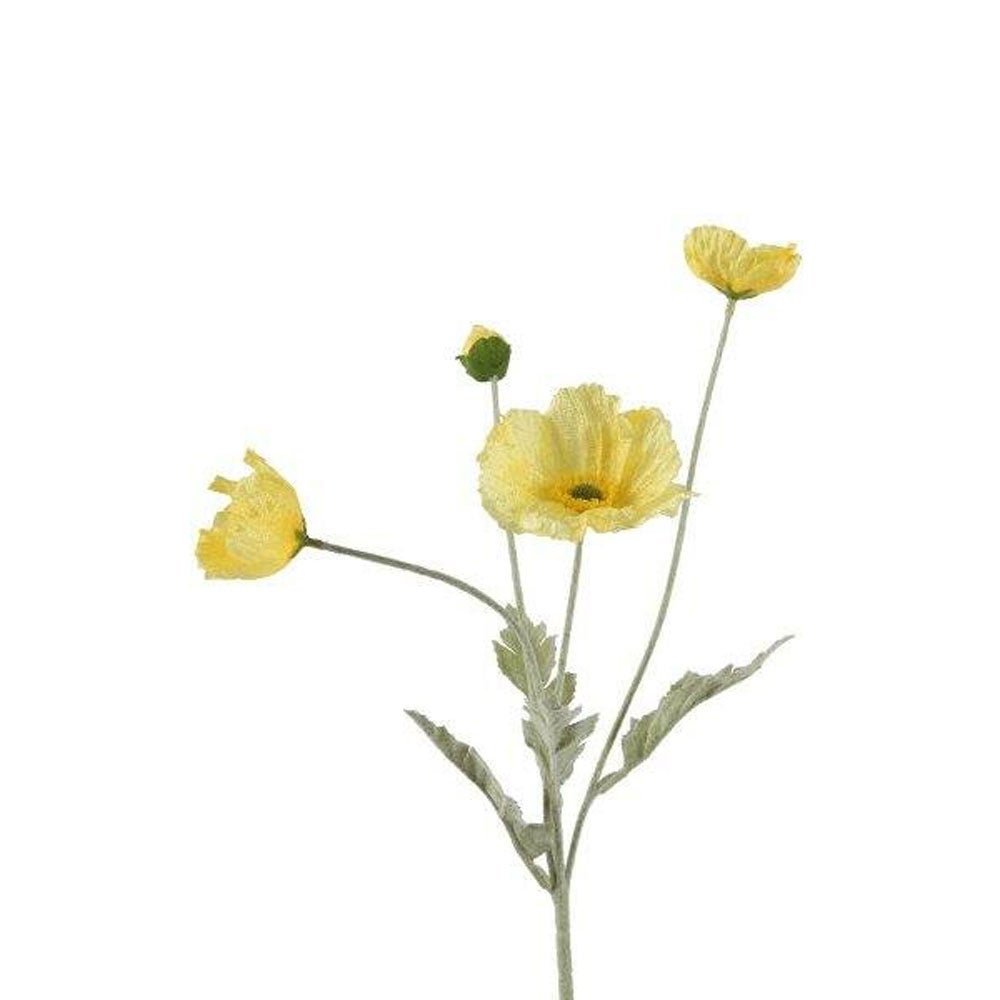 Papaver geel 63 cm Papaver geel 63 cm