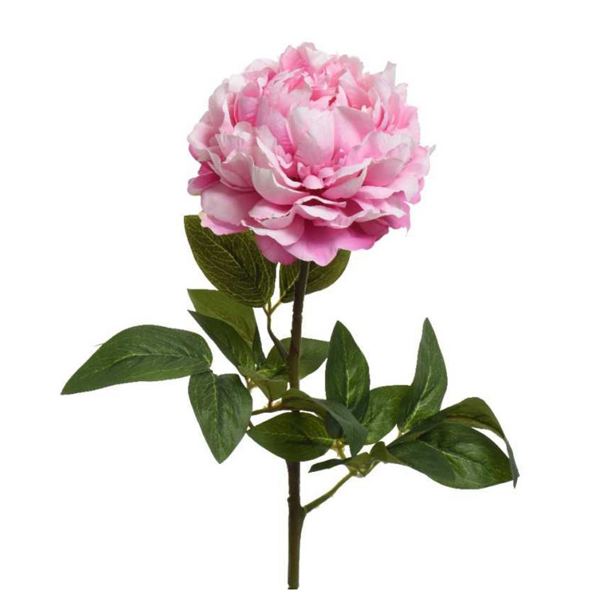 Pioen op steel 72 cm roze Pioen op steel 72 cm roze