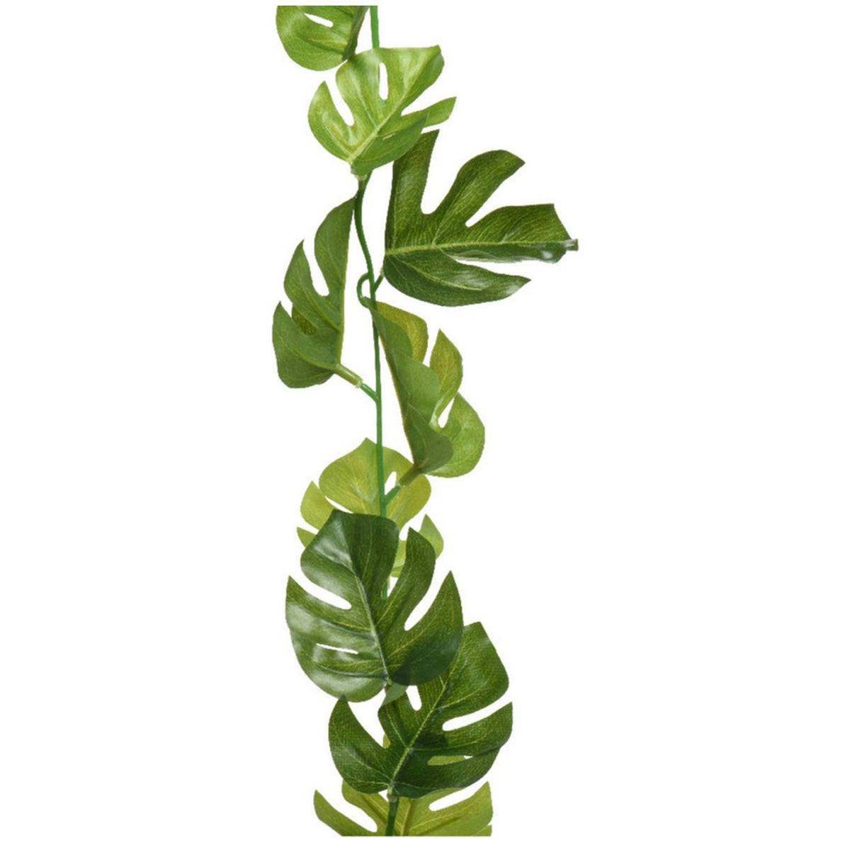 Slinger Monstera 180 cm Slinger Monstera 180 cm