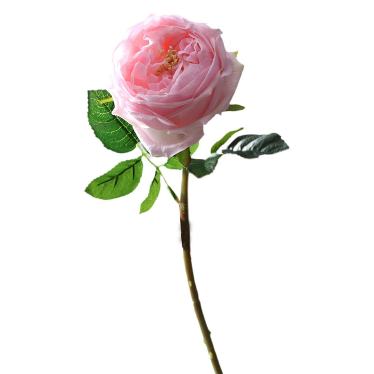 Pioen roze 72cm Pioen roze 72cm