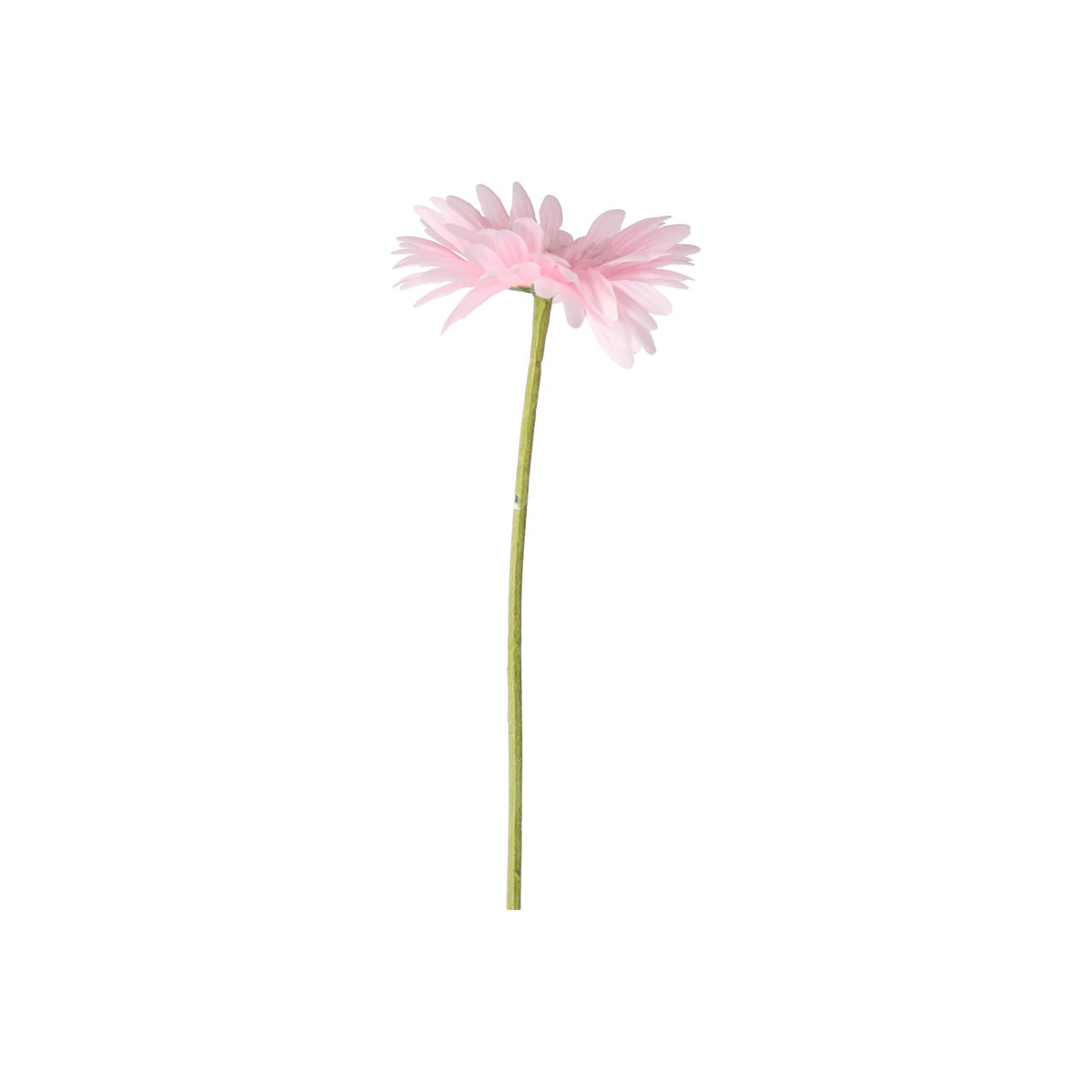 Gerbera roze 50 cm Gerbera roze 50 cm