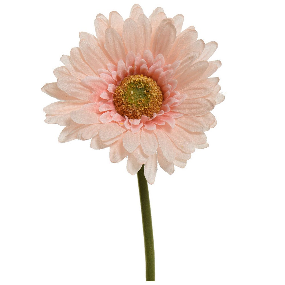 Gerbera perzik 50 cm Gerbera perzik 50 cm