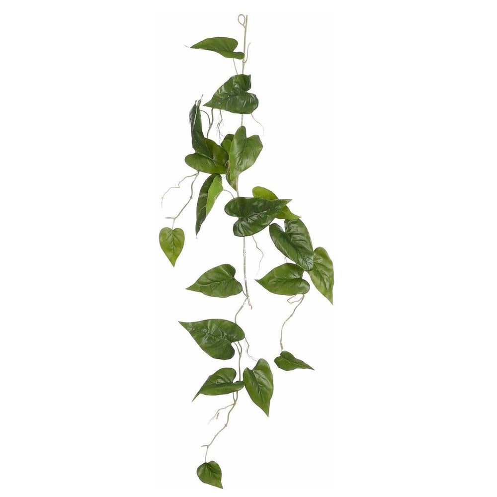 Philodendron hangend groen 115cm Philodendron hangend groen 115cm