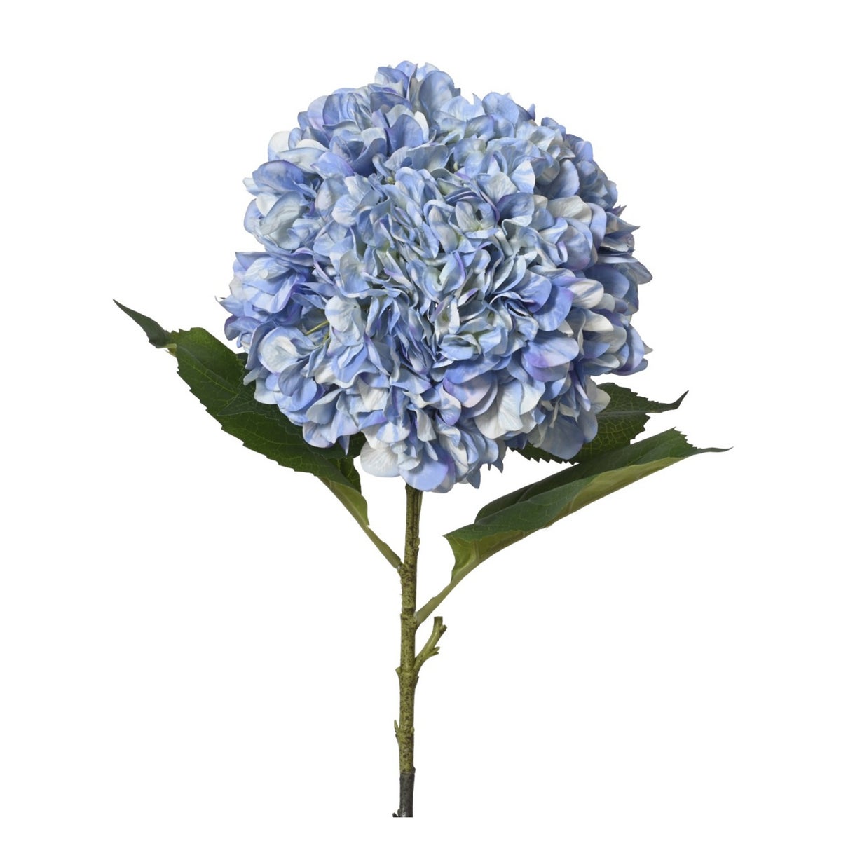 Tak hortensia blauw 106 cm Tak hortensia blauw 106 cm