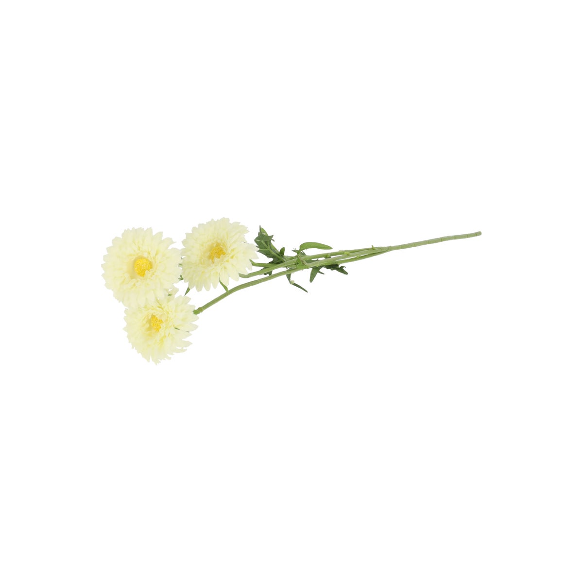 Tak marigold creme 68 cm Tak marigold creme 68 cm