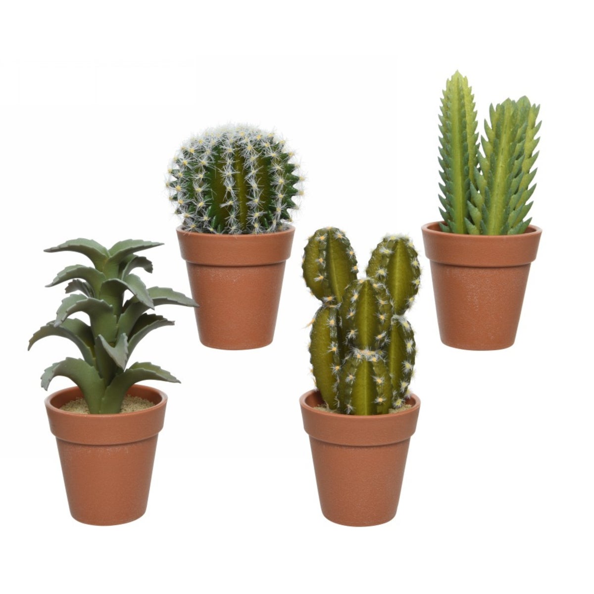 Vetplant in pot Vetplant in pot
