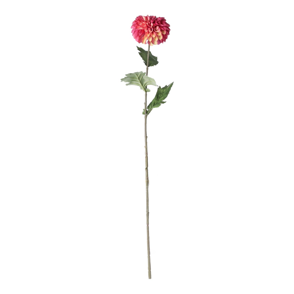 Dahlia op steel fuchsia 75cm Dahlia op steel fuchsia 75cm