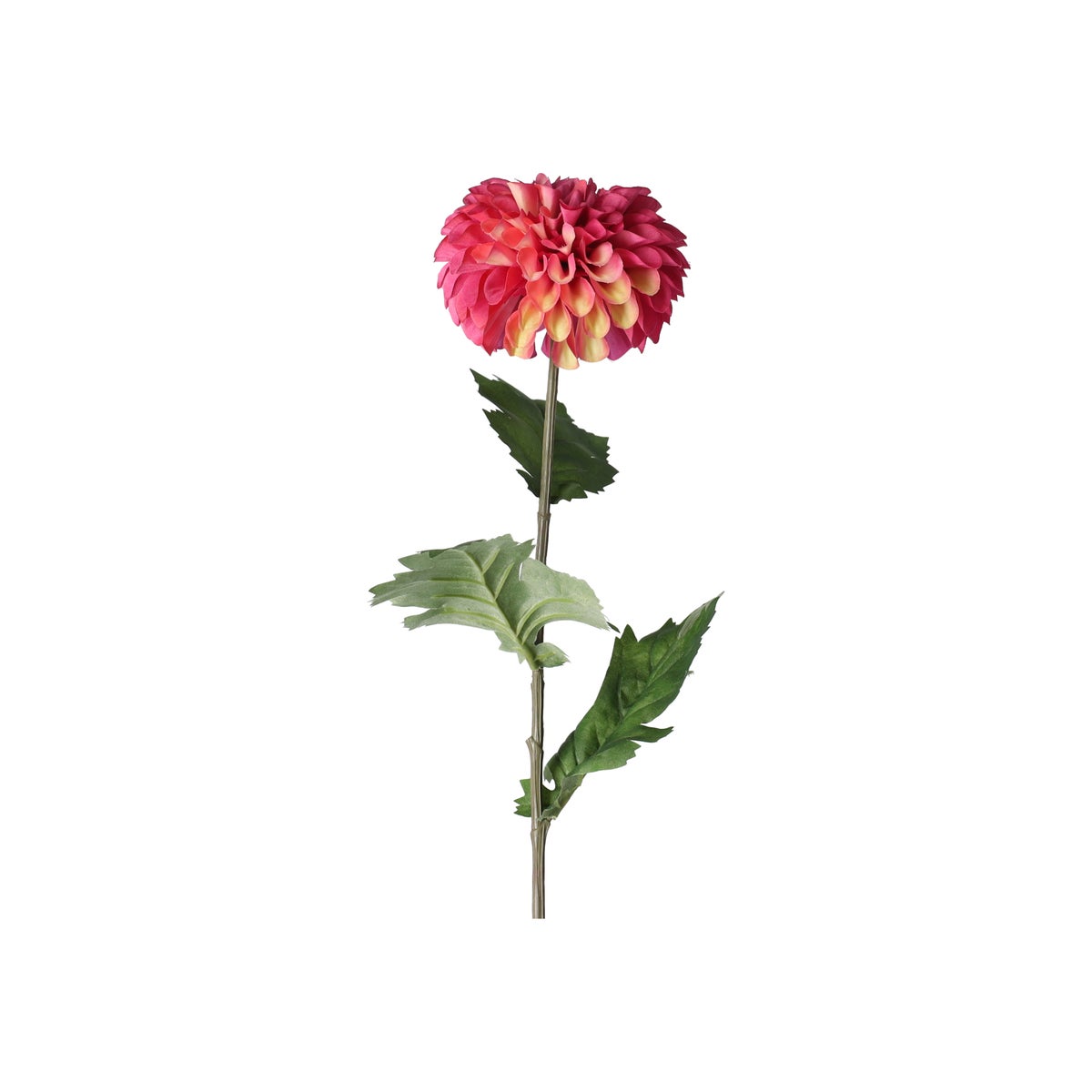 Dahlia op steel fuchsia 75 cm Dahlia op steel fuchsia 75 cm