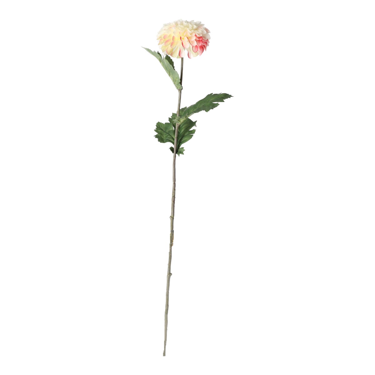 Dahlia op steel creme 75 cm Dahlia op steel creme 75 cm