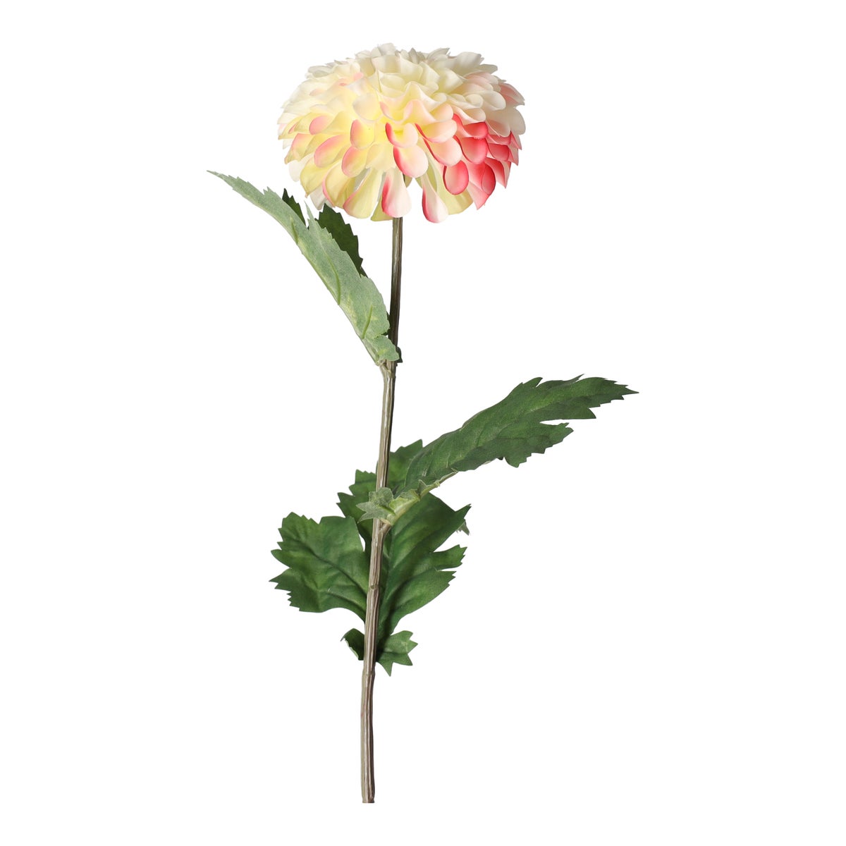 Dahlia op steel creme 75cm Dahlia op steel creme 75cm