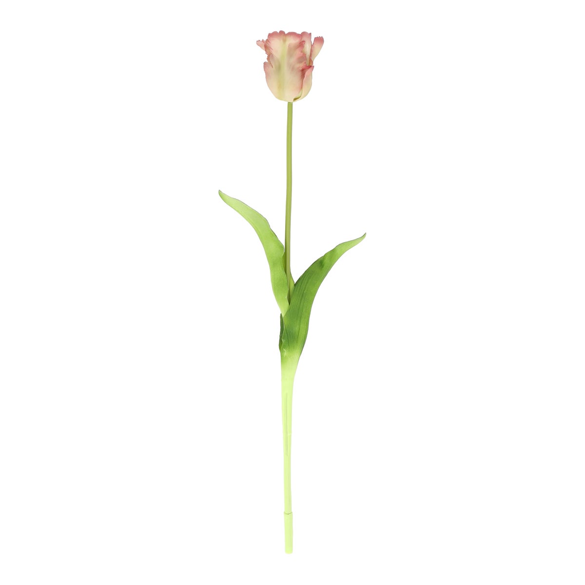 Tulp papegaai real touch 62 cm roze Tulp papegaai real touch 62 cm roze