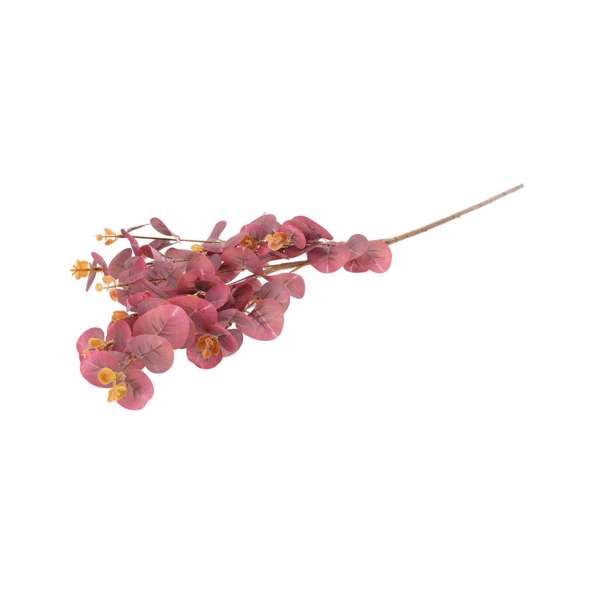Tak eucalyptus paars 91 cm Tak eucalyptus paars 91 cm