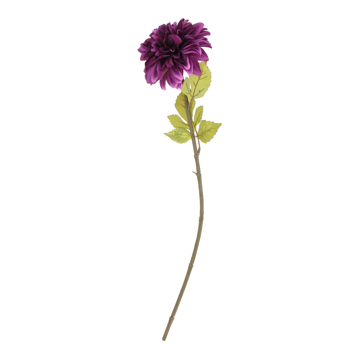 Tak Dahlia autumn paars 75 cm Tak Dahlia autumn paars 75 cm