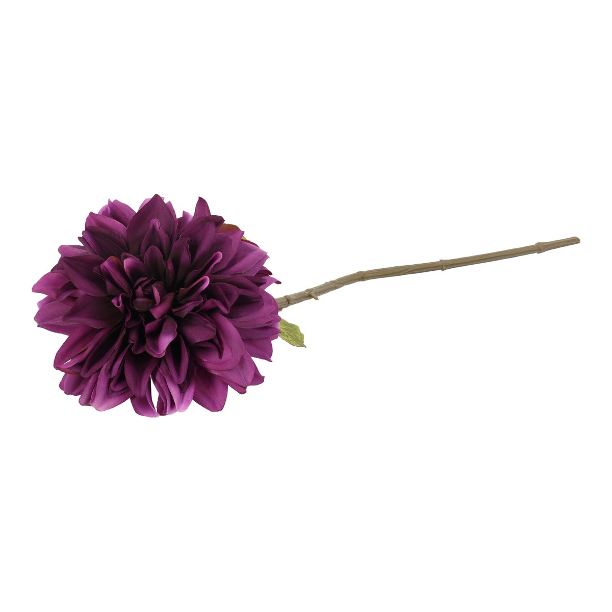 Tak Dahlia autumn paars 75 cm Tak Dahlia autumn paars 75 cm
