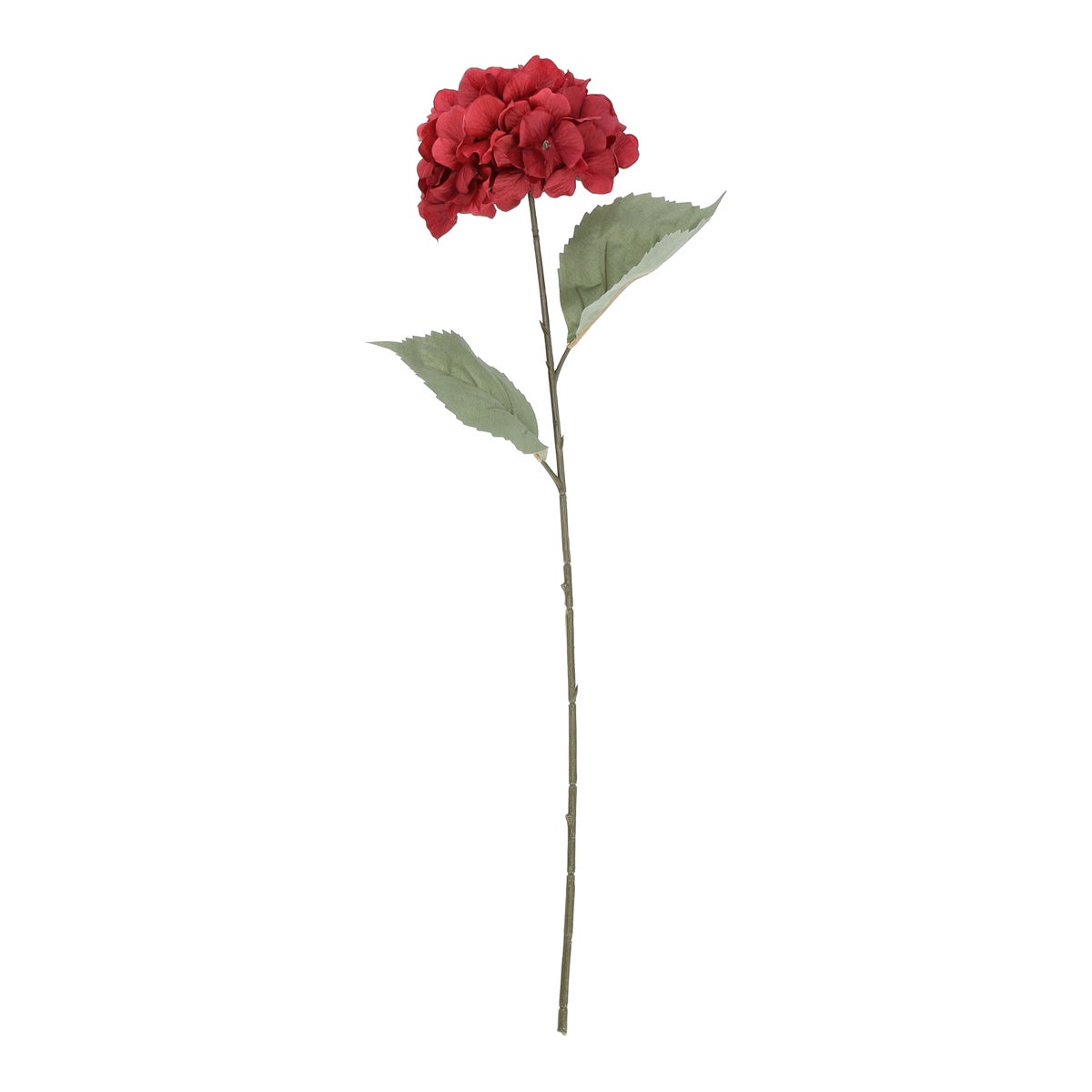 Tak hortensia autumn roze 75 cm Tak hortensia autumn roze 75 cm