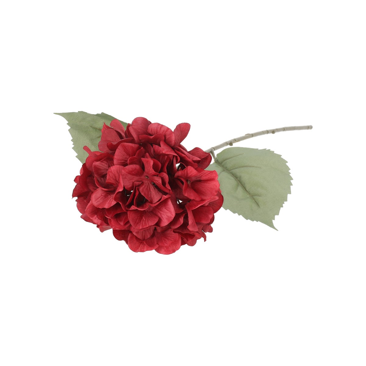 Tak hortensia autumn roze 75 cm Tak hortensia autumn roze 75 cm