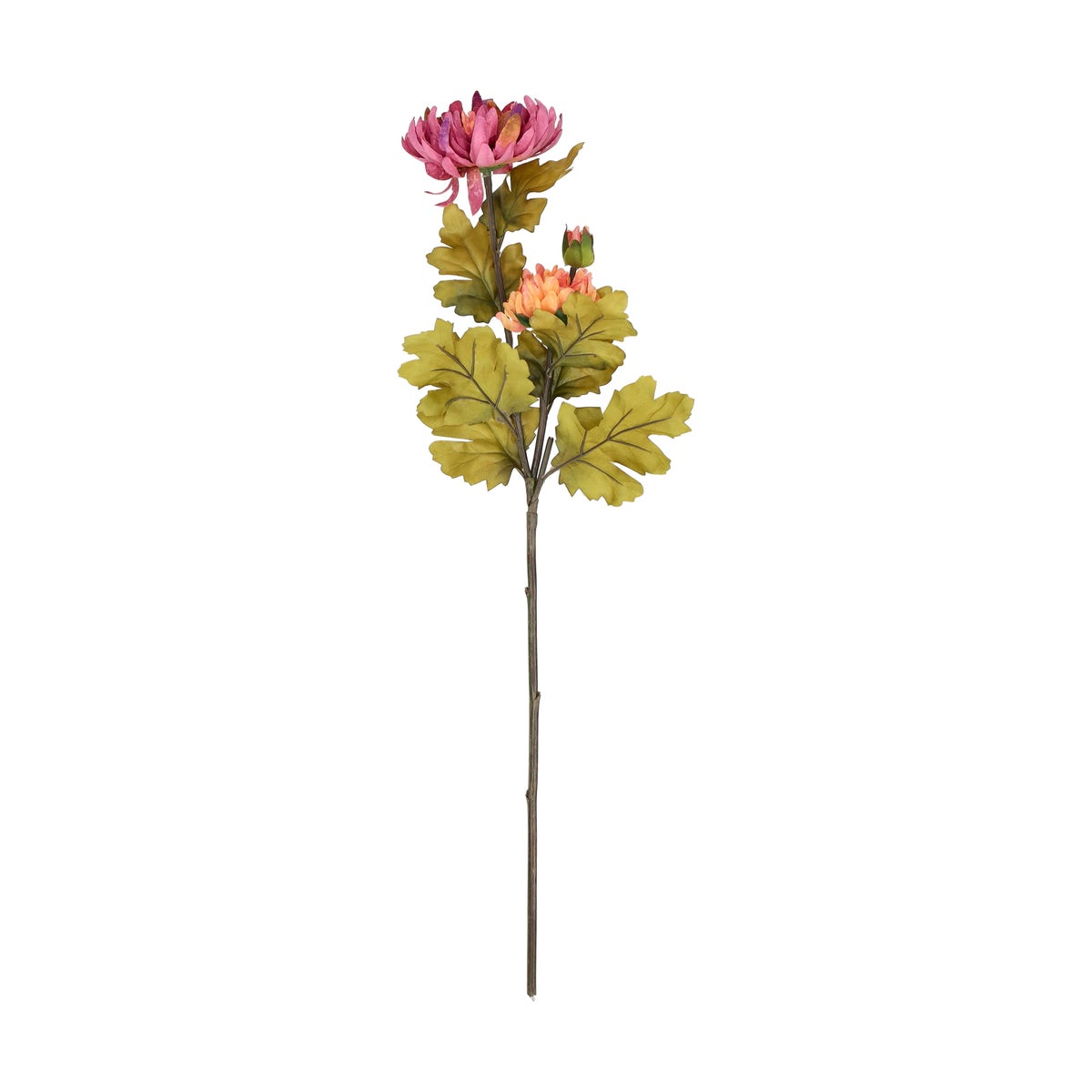 Tak Dendranthema autumn paars 57 cm Tak Dendranthema autumn paars 57 cm