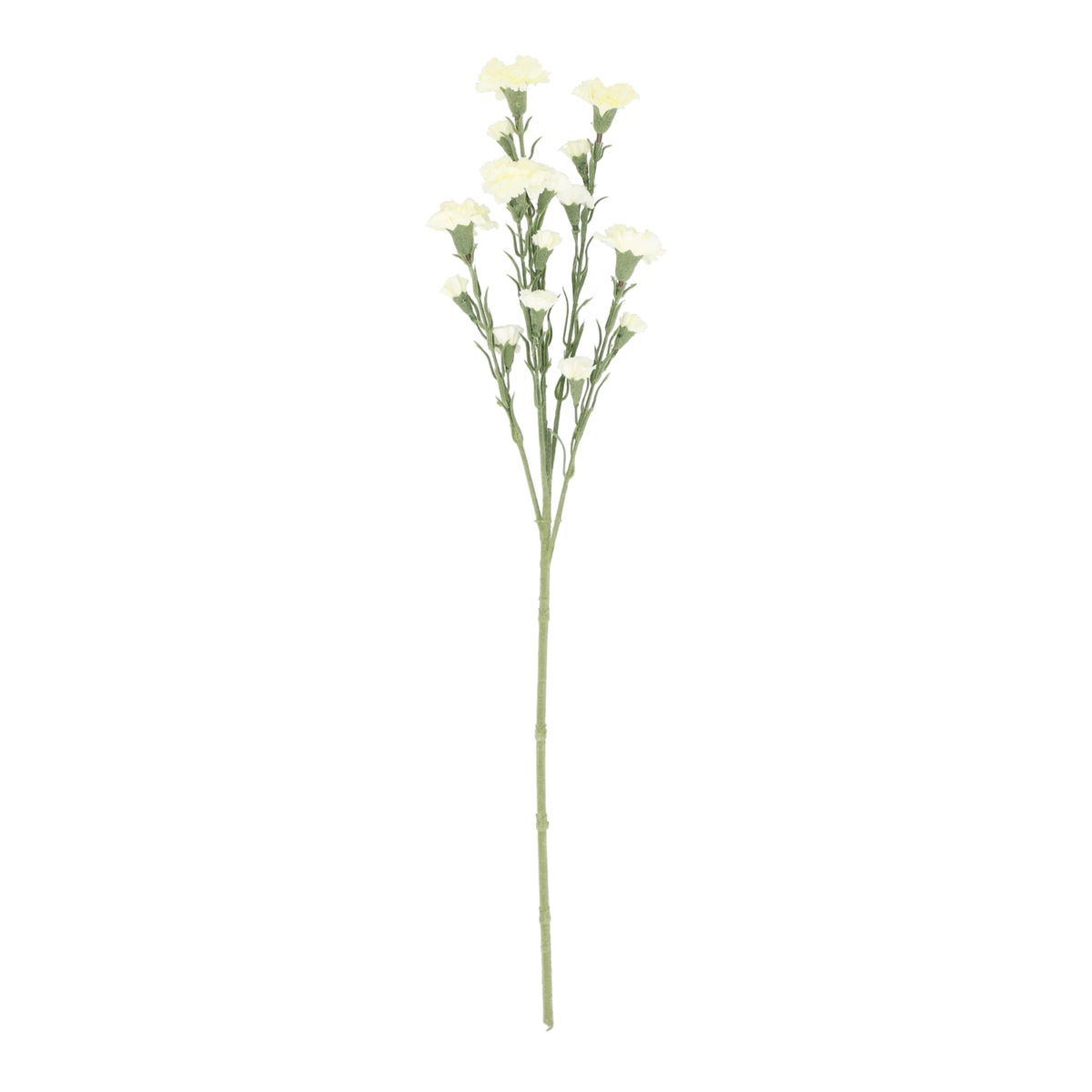 Tak Carnation wit 68 cm Tak Carnation wit 68 cm