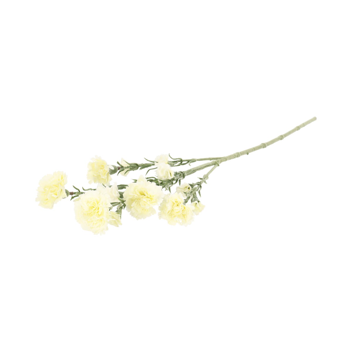 Tak Carnation wit 68 cm Tak Carnation wit 68 cm