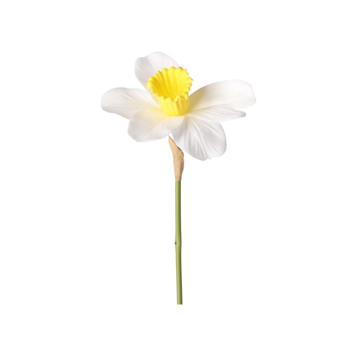 Narcis 39 cm Narcis 39 cm