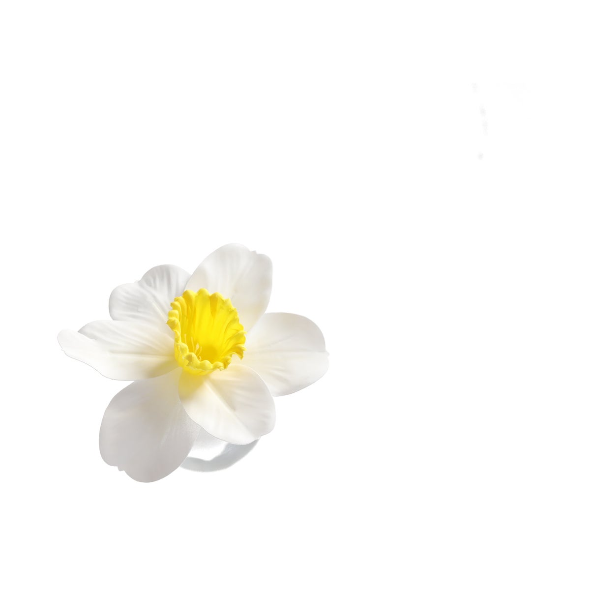 Narcis 39 cm - 2 assorti Narcis 39 cm - 2 assorti