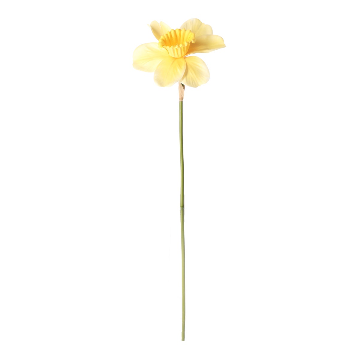 Narcis 39 cm Narcis 39 cm
