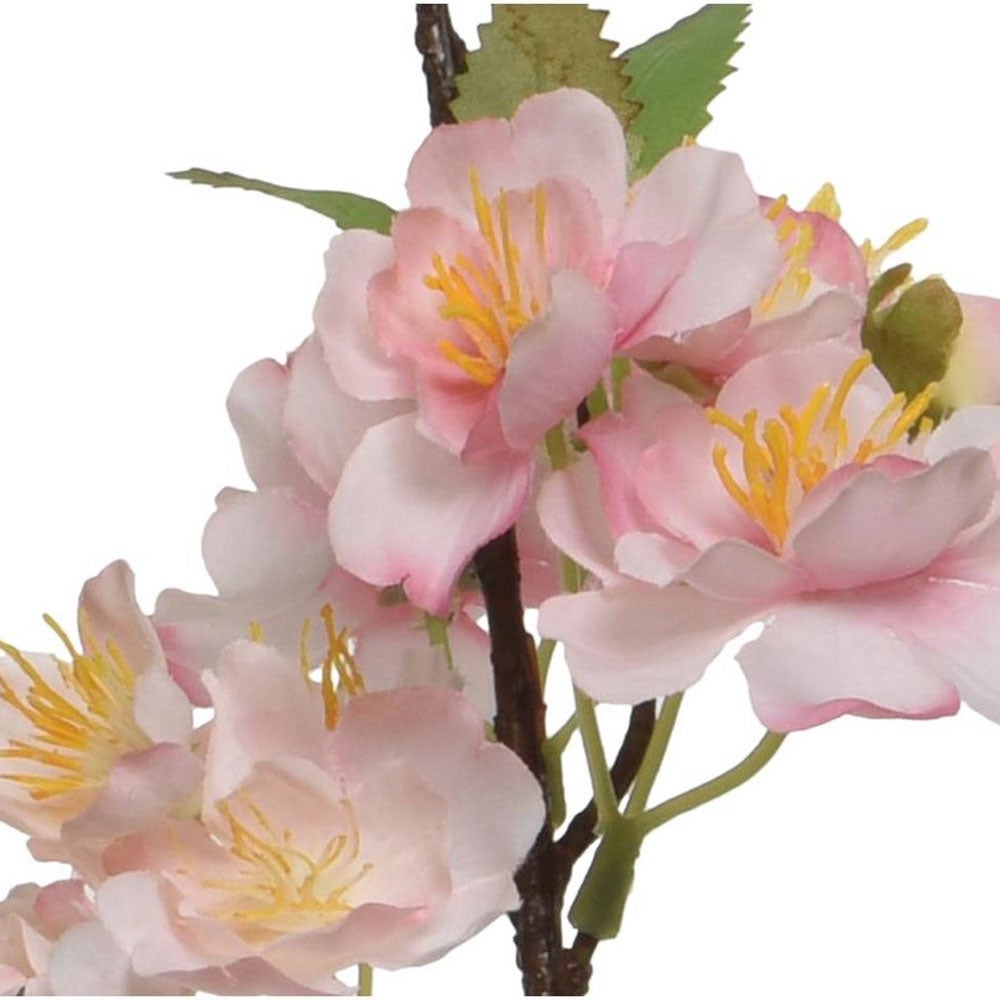 Bloesem roze mi x 106 cm Bloesem roze mi x 106 cm