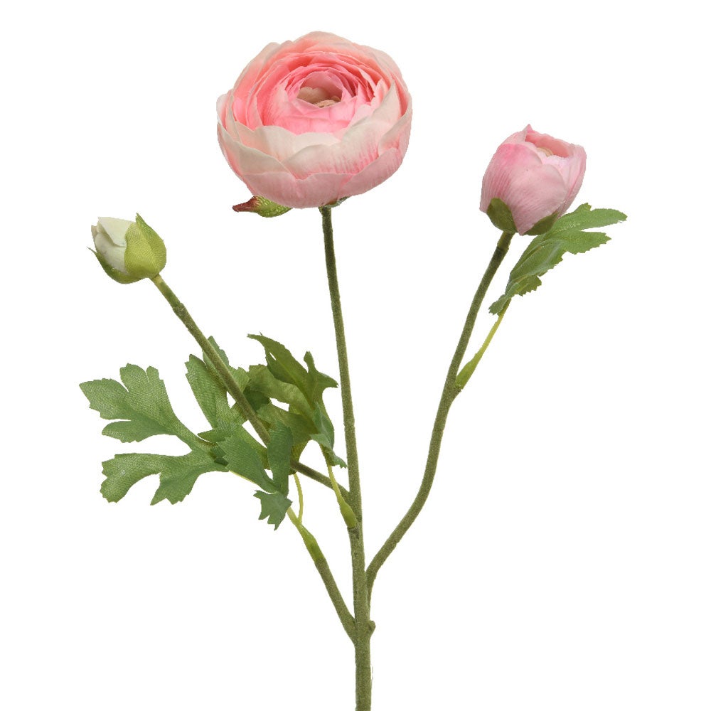 Ranonkel roze 51 cm Ranonkel roze 51 cm