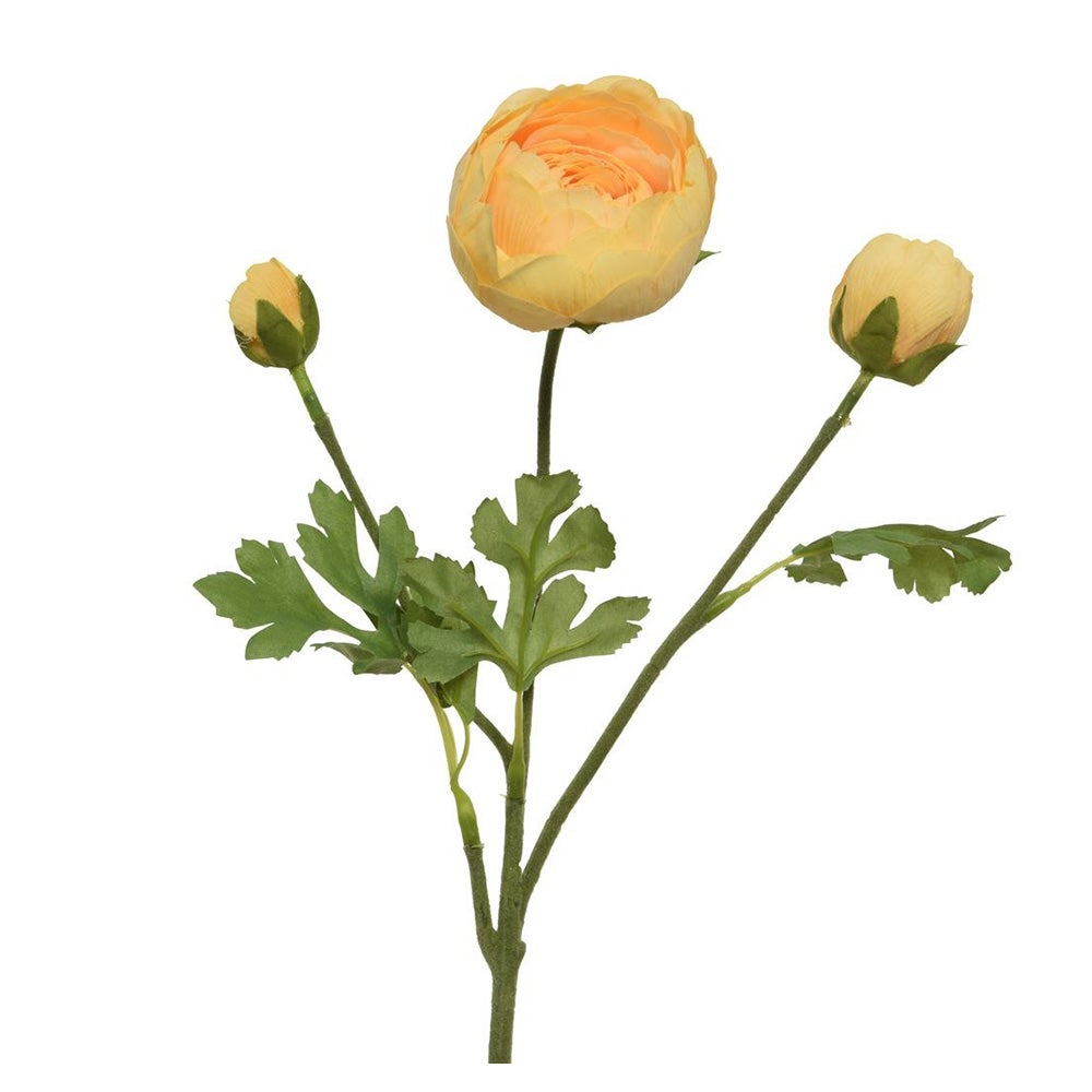 Ranonkel geel 51 cm Ranonkel geel 51 cm