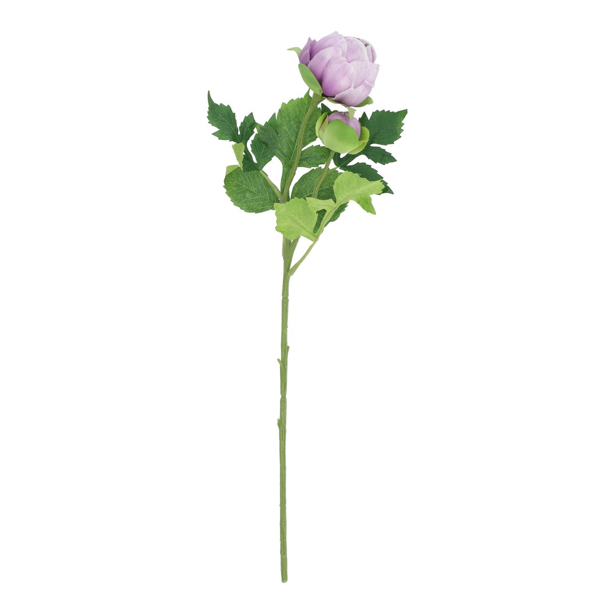 Tak Peony 45 cm lila Tak Peony 45 cm lila