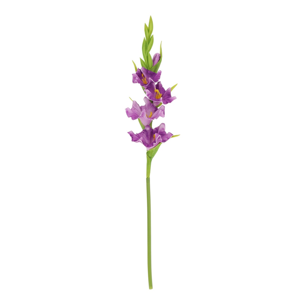 Tak Cymbidium 54 cm paars Tak Cymbidium 54 cm paars