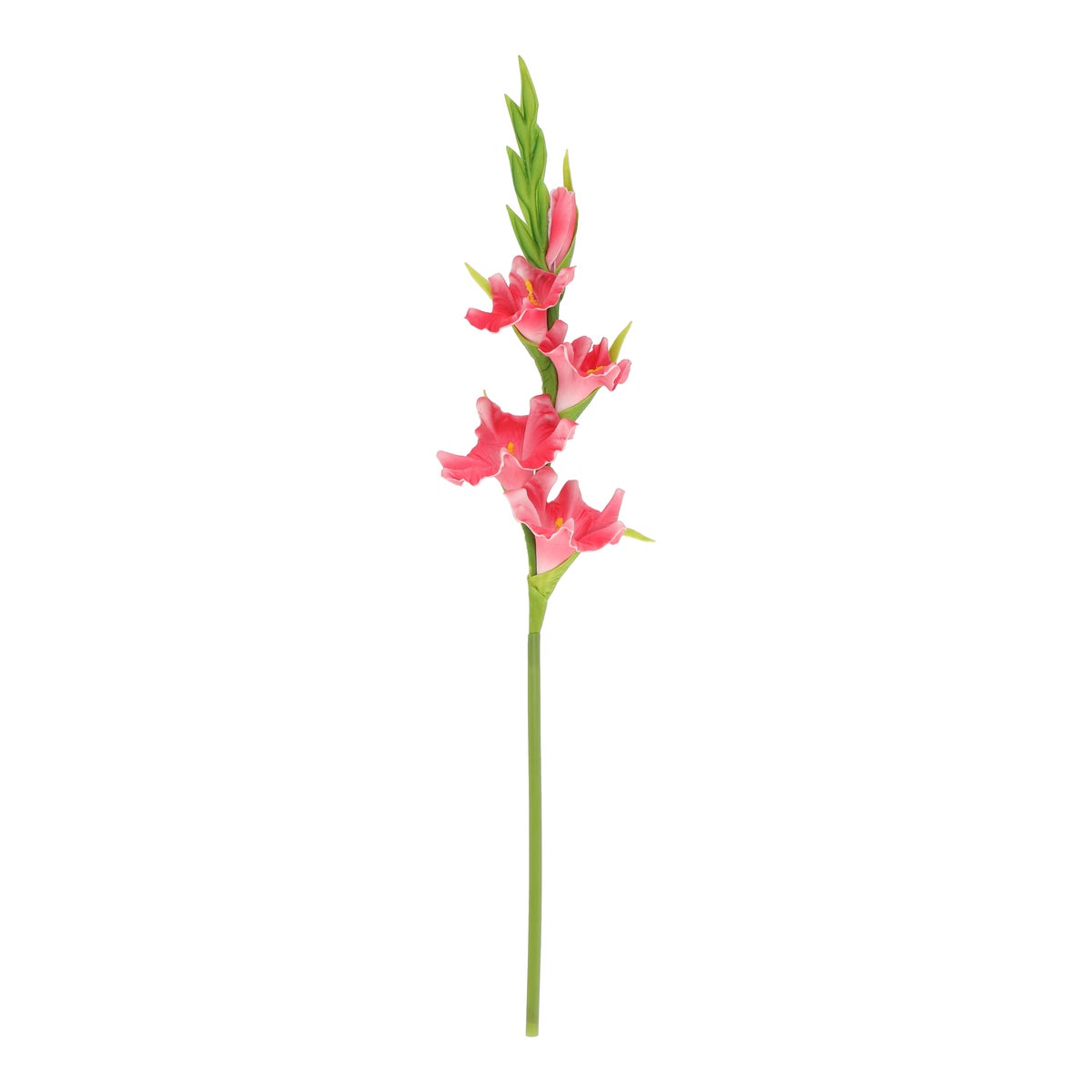 Tak Cymbidium 54 cm rood Tak Cymbidium 54 cm rood