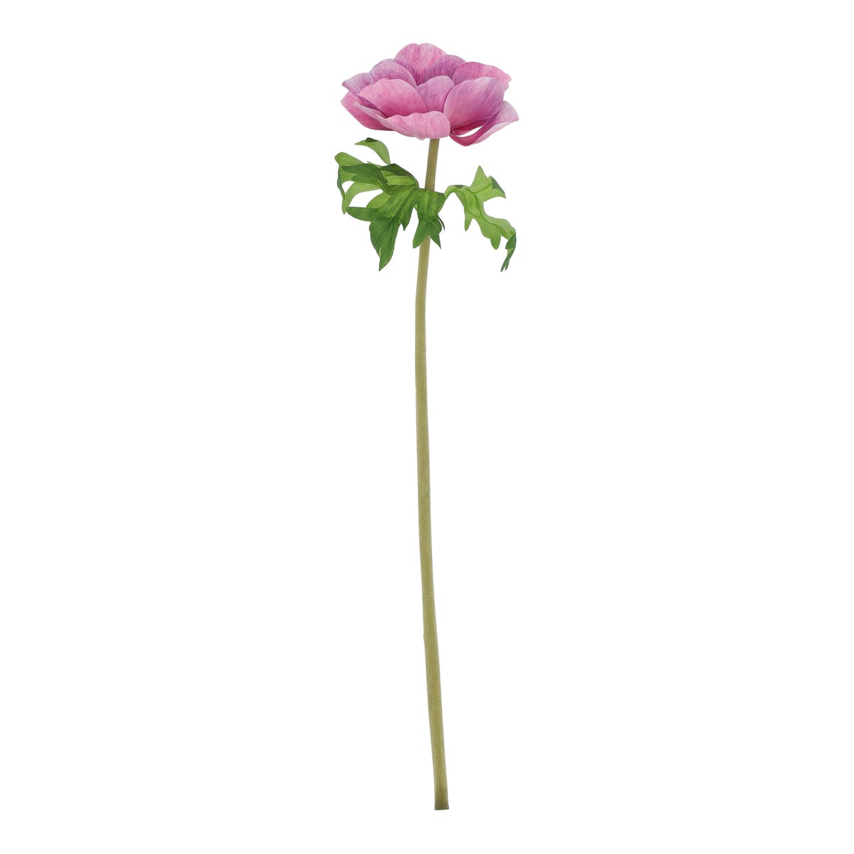 Tak anemoon paars 50 cm Tak anemoon paars 50 cm