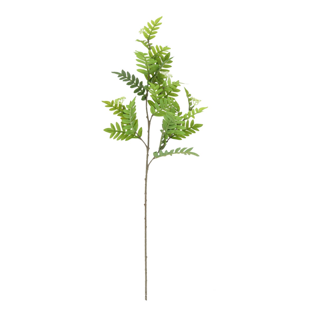 Tak varen groen 100 cm Tak varen groen 100 cm