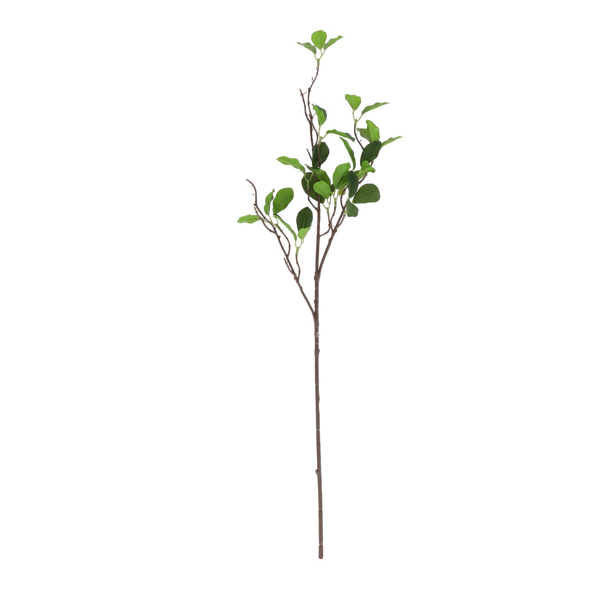 Tak blad groen 80 cm Tak blad groen 80 cm