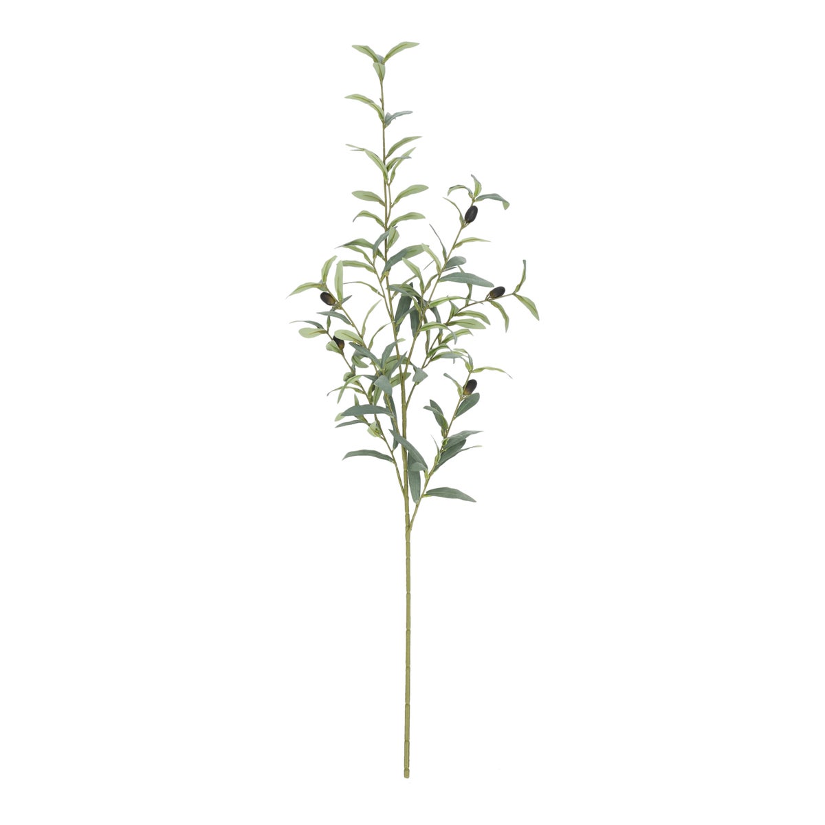 Tak olijf groen 105 cm Tak olijf groen 105 cm