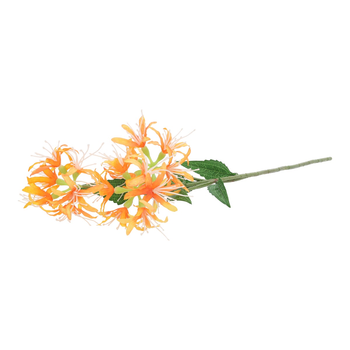 Tak spider lily oranje 70 cm Tak spider lily oranje 70 cm