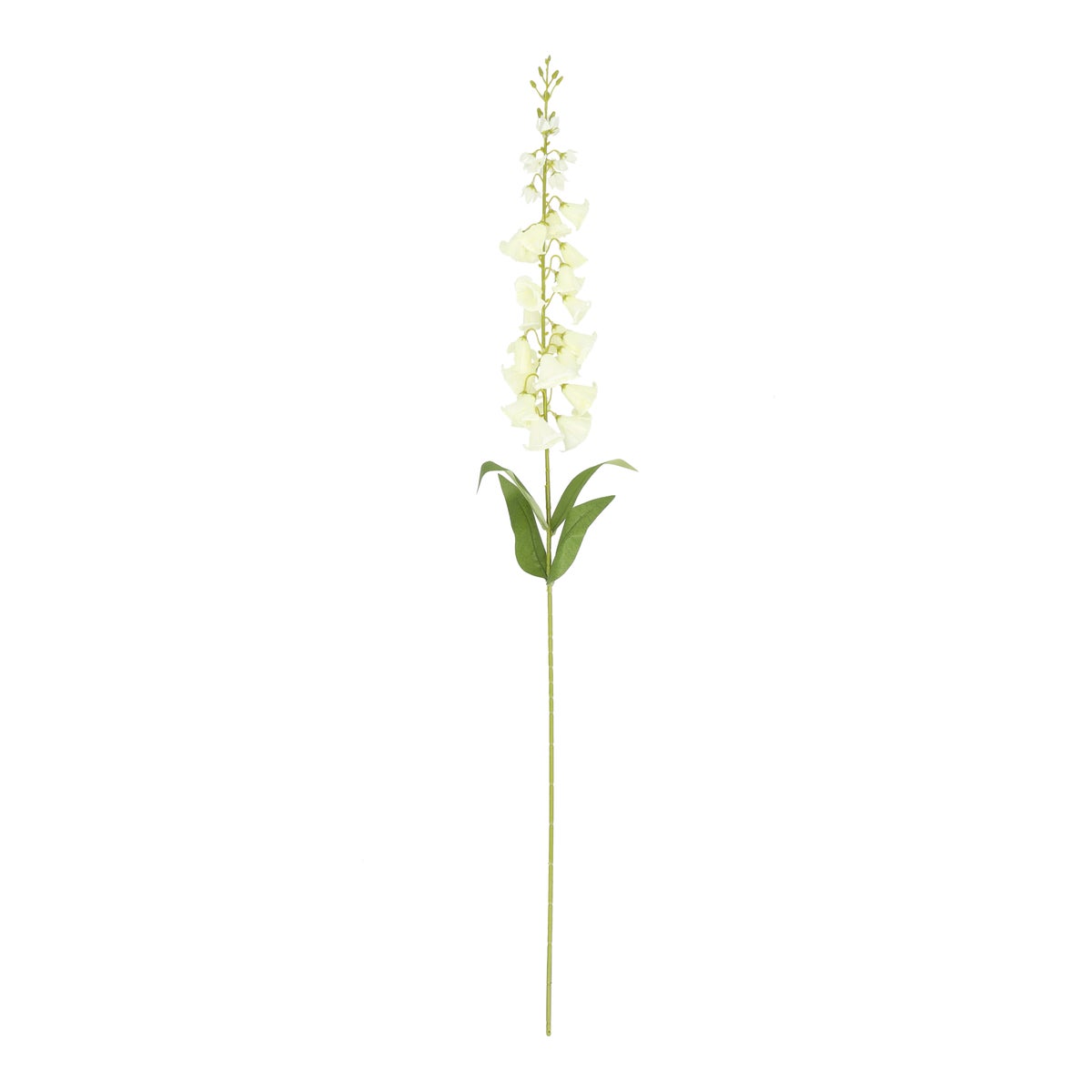 Tak campanula wit 95 cm Tak campanula wit 95 cm