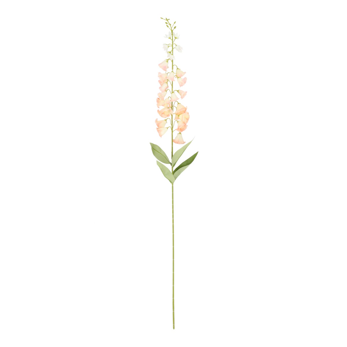 Tak campanula peach 95 cm Tak campanula peach 95 cm