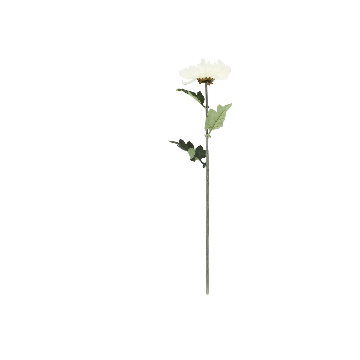 Tak chrysanthemum wit 72 cm Tak chrysanthemum wit 72 cm