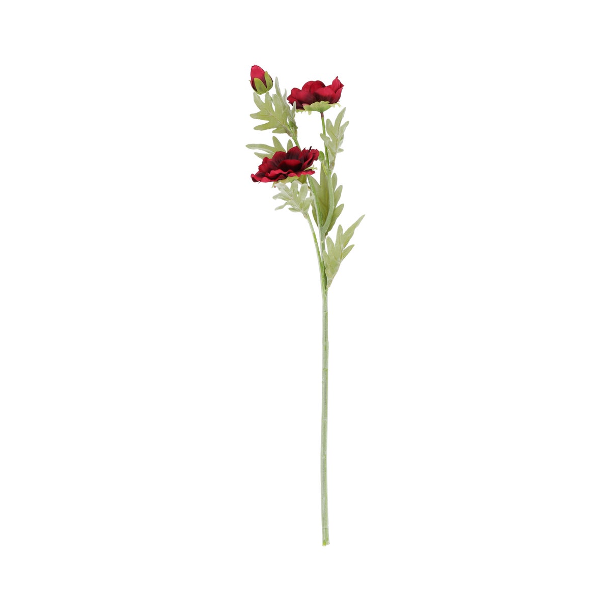 Tak Pasque bordeaux 63 cm Tak Pasque bordeaux 63 cm