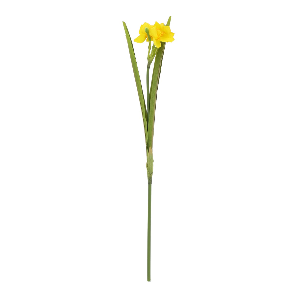 Tak daffodil geel 59 cm Tak daffodil geel 59 cm