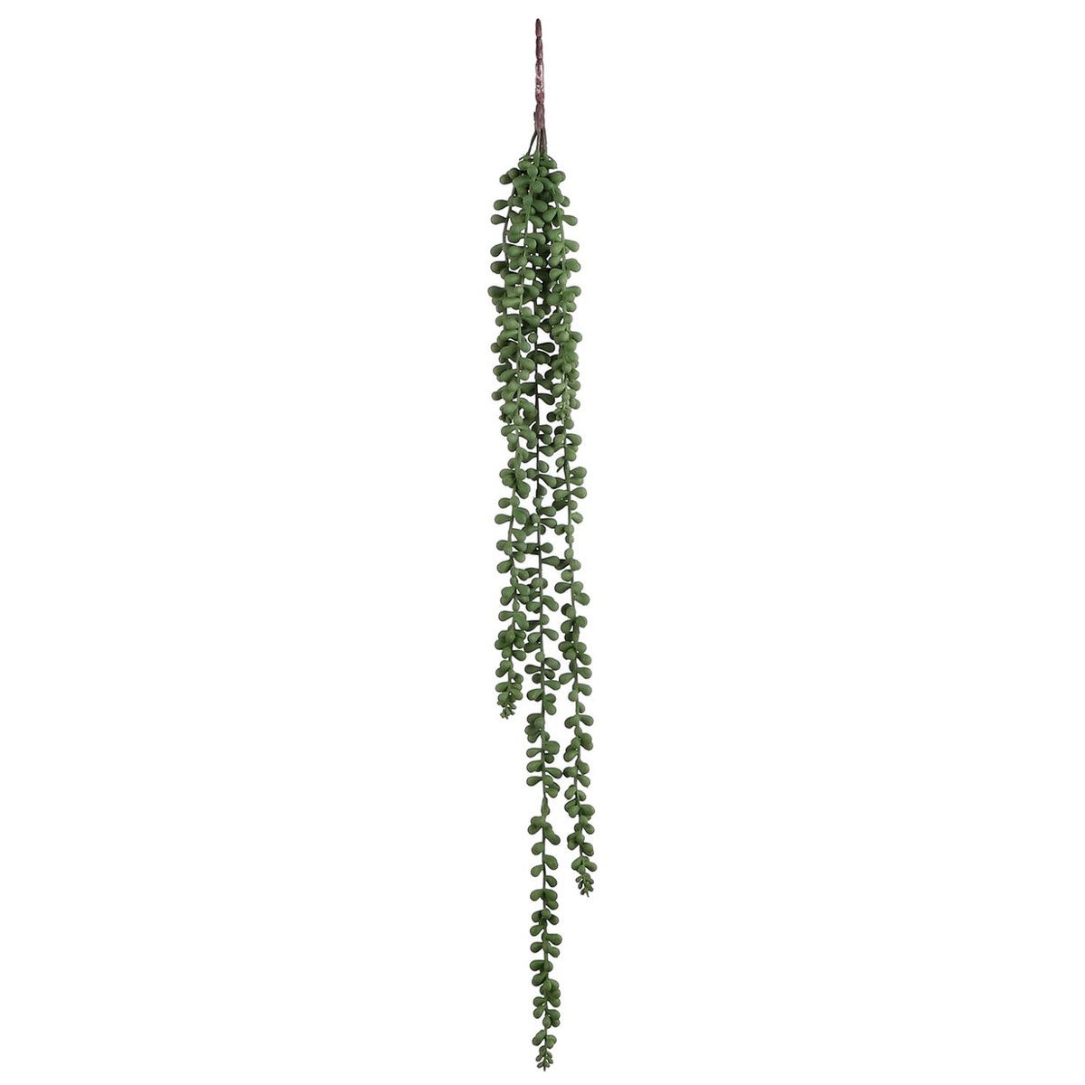 Senecio hangend 71 cm groen Senecio hangend 71 cm groen