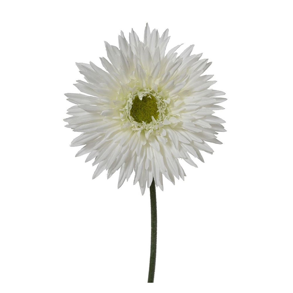 Gerbera wit 54 cm Gerbera wit 54 cm