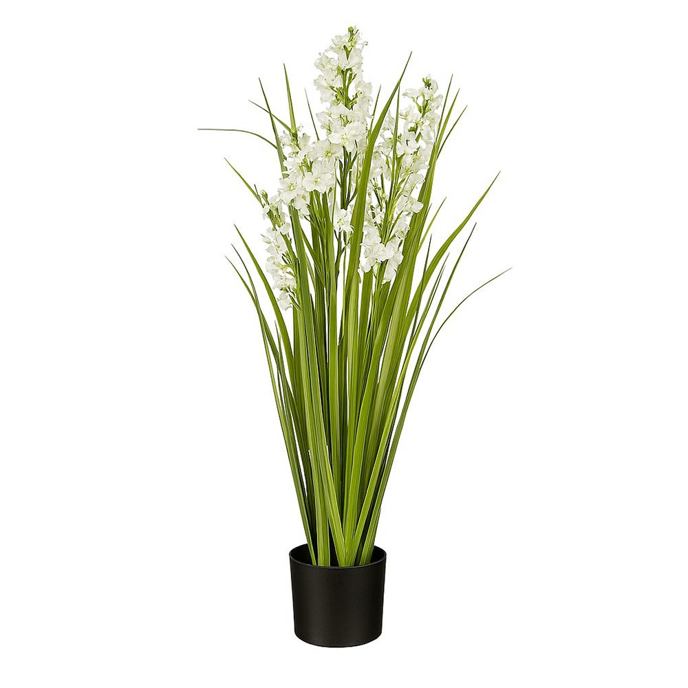 Pot gras Campanula wit 78 cm Pot gras Campanula wit 78 cm